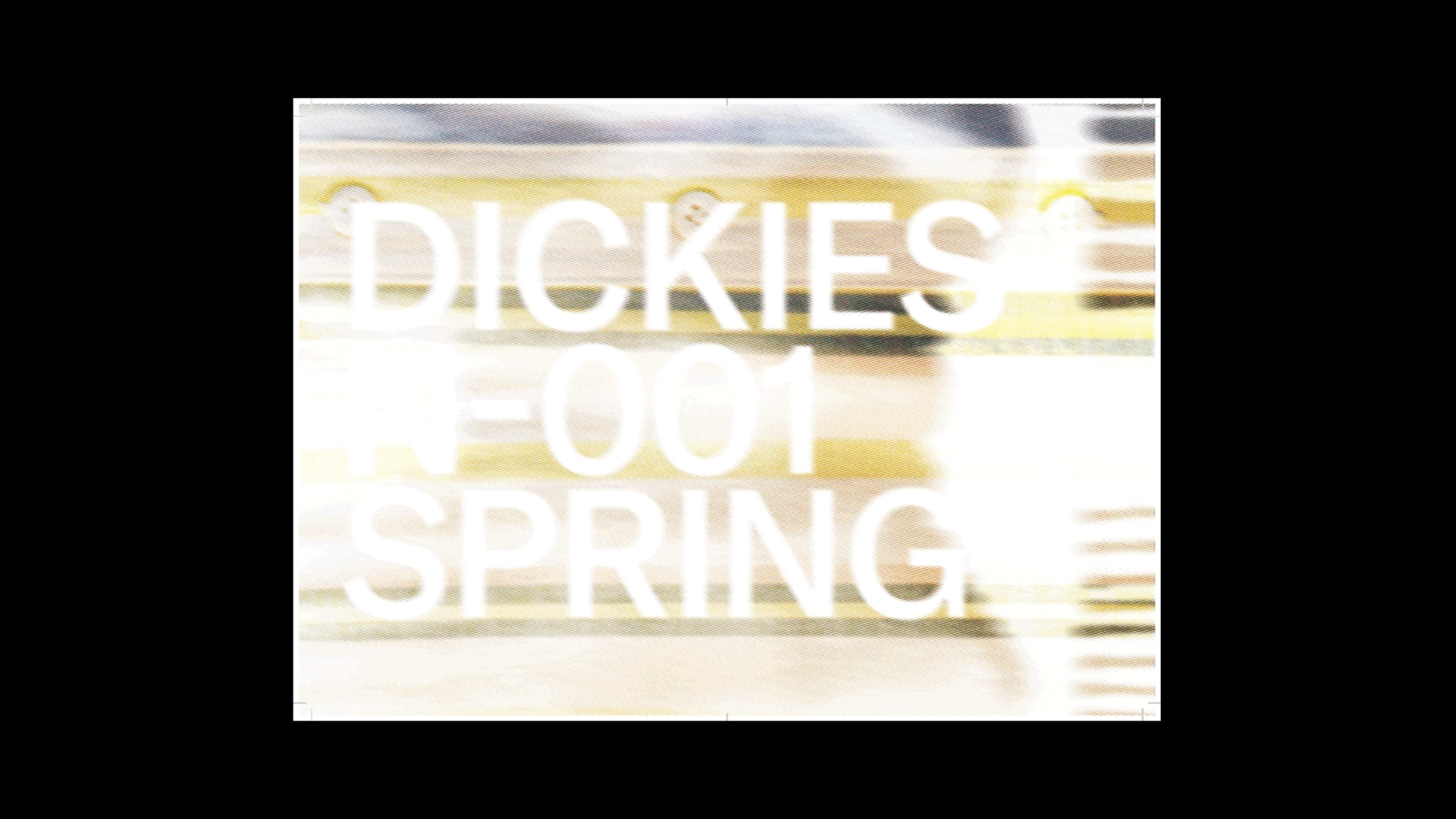 Dickies-lookbooks-1920x1080-2-1-thumbs